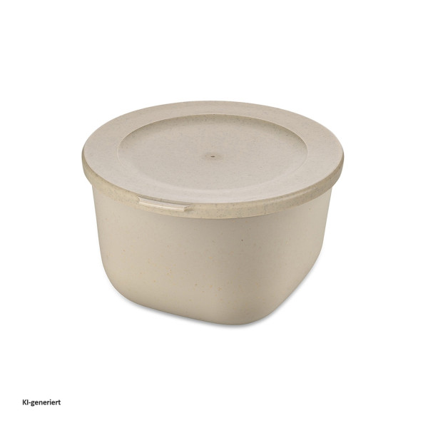Box mit Deckel 1l