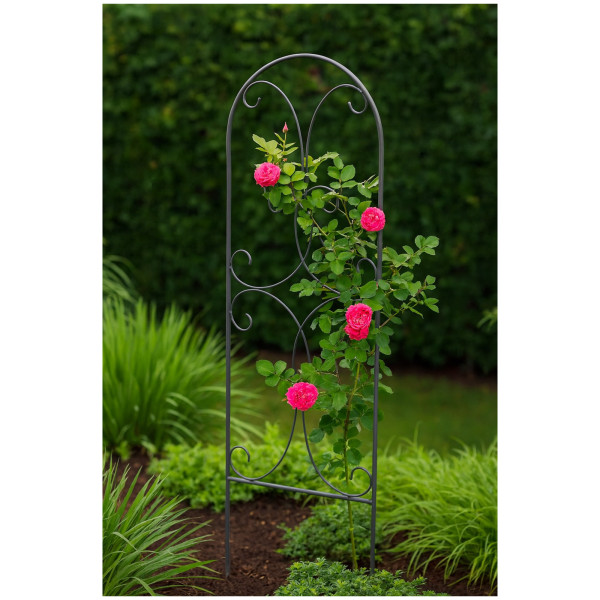 HTI-Living für Kletterpflanzen Rosen und Clematis Dekorative Rankhilfe Metall