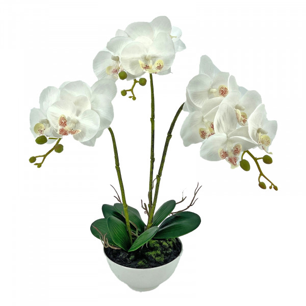 NTK-Collection Leilani Kunstblume Orchidee in Schale