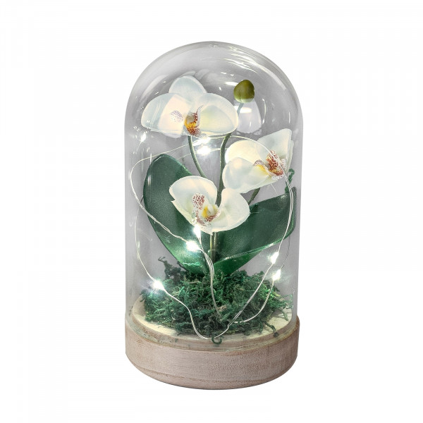 Formano Orchidee Dekolicht LED