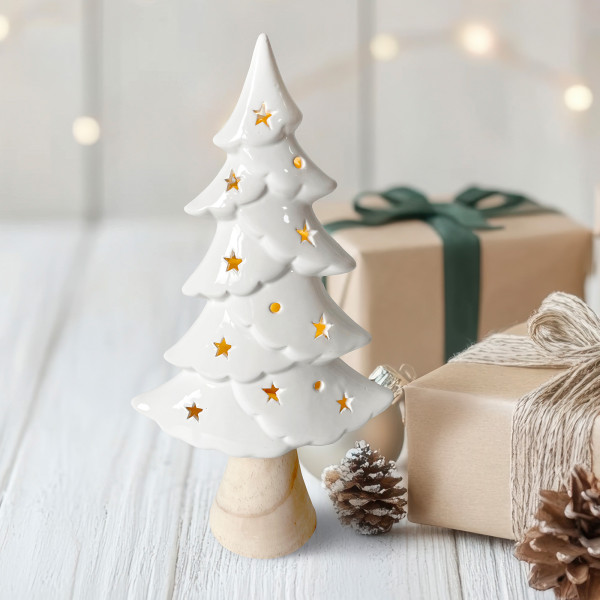 HTI-Living mit Leuchtsternen LED Winterbaum