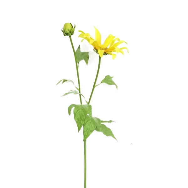 Frühlingsblume Flora gelb, Kunstpflanze