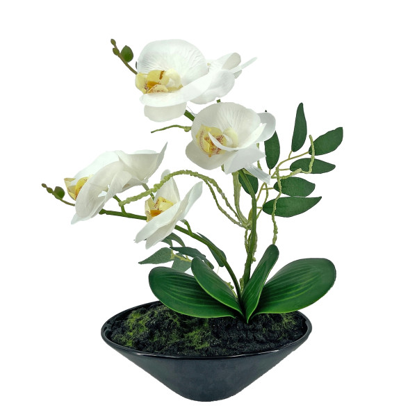 NTK-Collection Leilani Kunstblume Orchidee in Schale